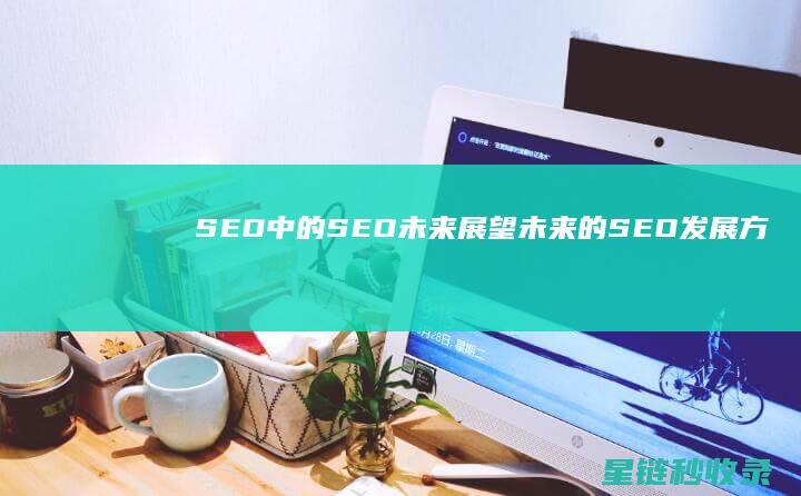 SEO中的SEO未来：展望未来的SEO发展方向 (SEO中的出词是什么意思)