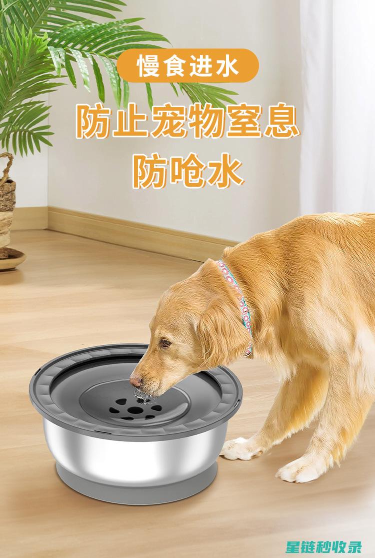宠物碗清洁注意事项：避免细菌滋生的正确方法 (宠物碗清洁注意事项)