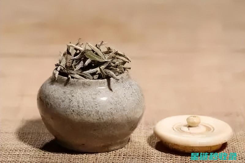 茶叶储存全攻略：让您的茶叶始终保持最佳状态 (茶叶储存技术)