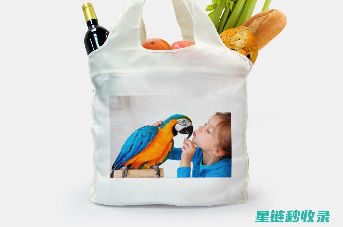 环保购物袋使用全知道：助力地球保护行动 (环保购物袋使用)
