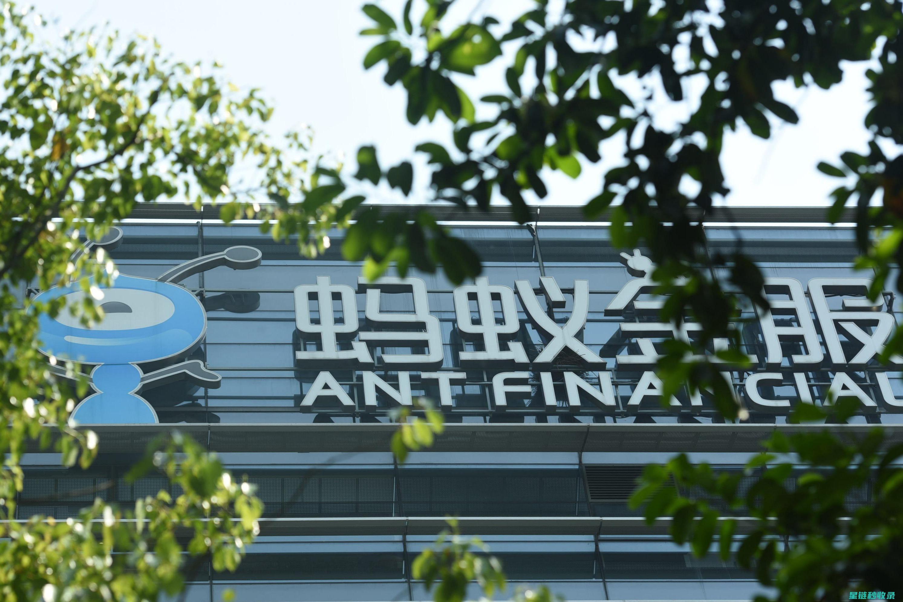全面解析蚂蚁防治技术及其应用现状 (蚂蚁全民解释)