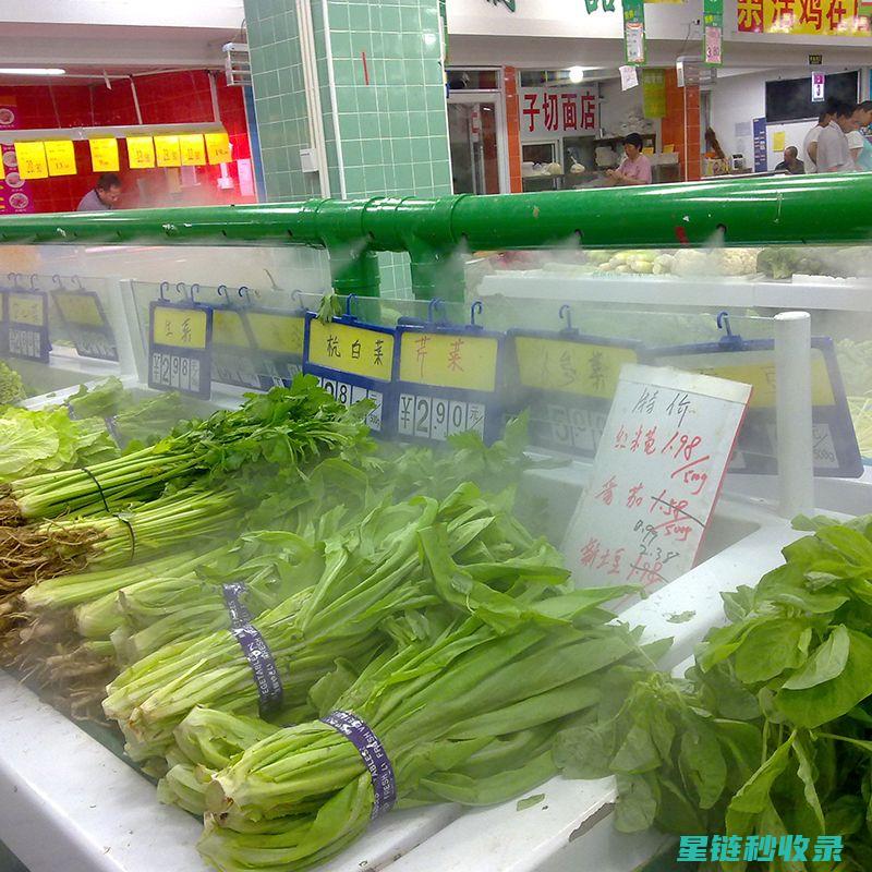 延长蔬菜保鲜期，你真的掌握了正确方法吗？ (延长蔬菜保鲜期的方法)