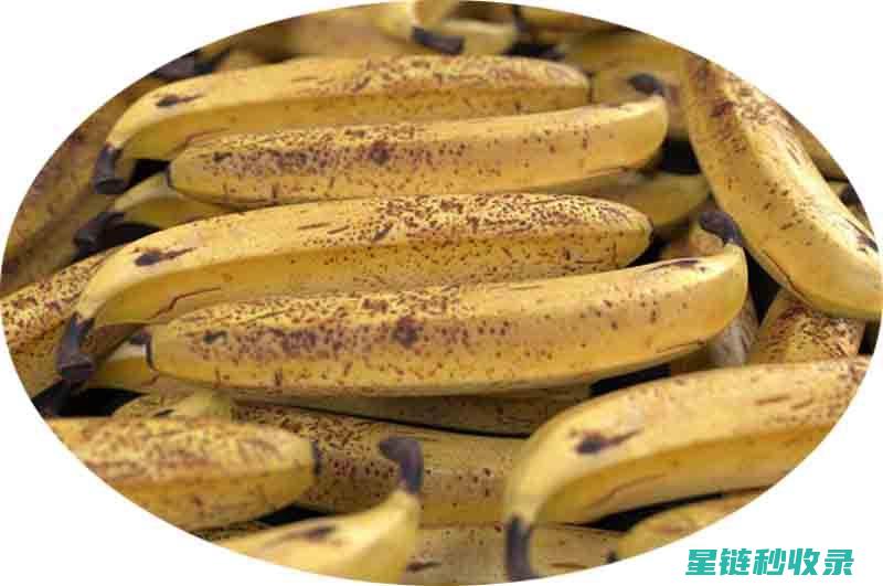 夏季香蕉保鲜指南，教你如何延长新鲜期 (夏季香蕉保鲜能放多久)