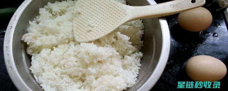剩饭保存有讲究，这样做才能延长保鲜期 (剩饭保存有讲究吗)