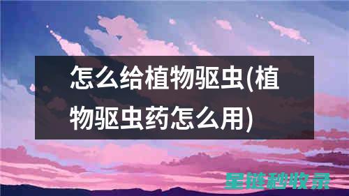 植物驱虫：从源头上解决问题，告别化学农药 (植物驱虫药怎么用)
