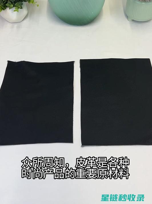 皮革保养误区警示：防止皮革损坏的常见错误 (皮革保养误区有哪些)