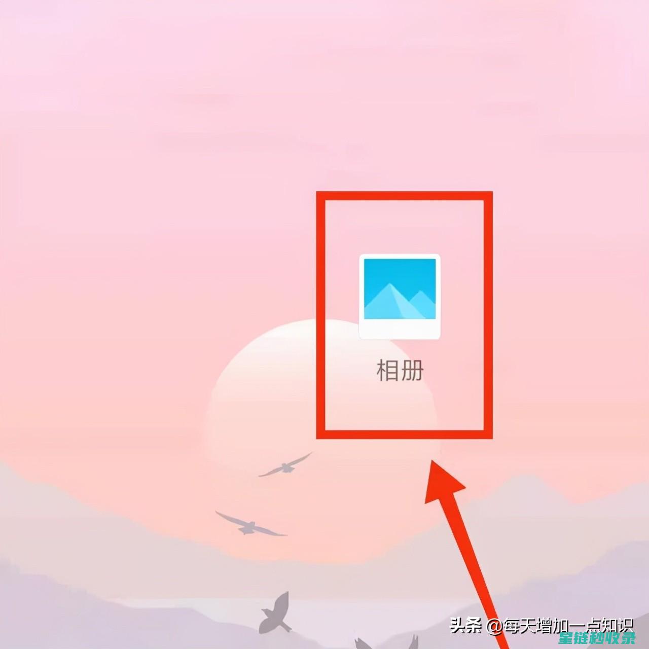 照片保存秘籍：防止珍贵瞬间被遗忘 (照片保存秘籍的软件)