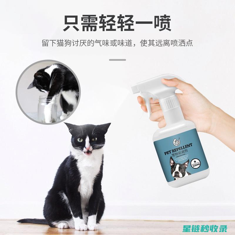 宠物异味去除：用这些方法让宠物散发自然香气 (宠物异味去除公司)