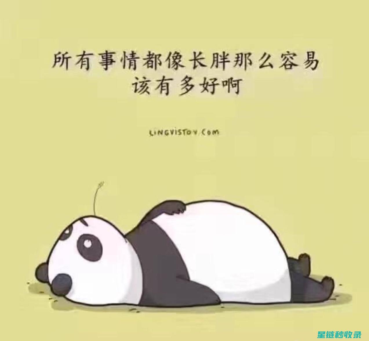轻松快速叠衣服，让每一个褶皱都消失不见 (轻松快速叠衣服的方法)