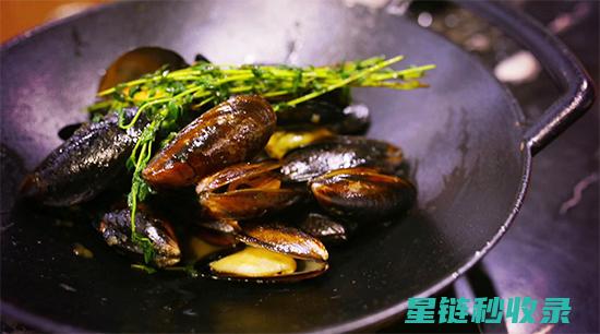 贝类吐沙现象：海洋生物与环境的互动 (贝类吐沙时,在水里放入什么会有奇效?)