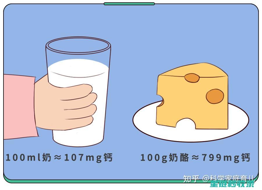 奶酪保存指南：温度、湿度、密封，一个都不能少 (奶酪保存指南最新)