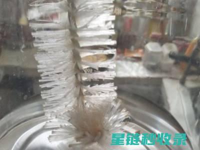 水壶除垢小妙招，让你的水壶重焕新生 (水壶除垢小妙招)