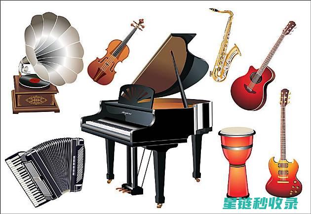乐器防潮全攻略：如何让乐器在潮湿环境下保持最佳状态 (乐器防虫)